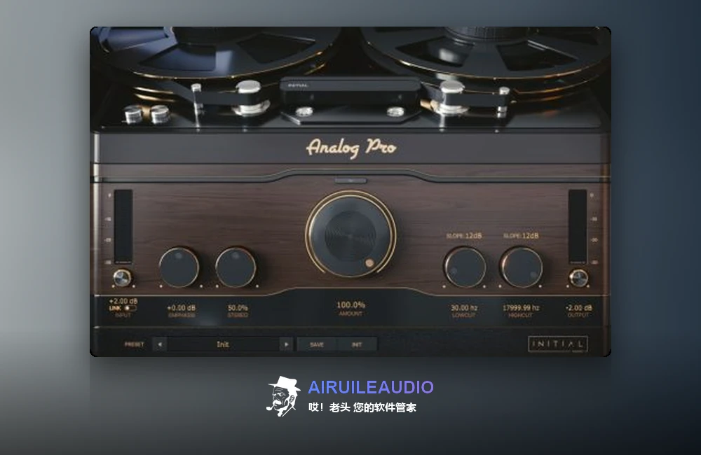 Initial Audio Analog Pro 插件界面