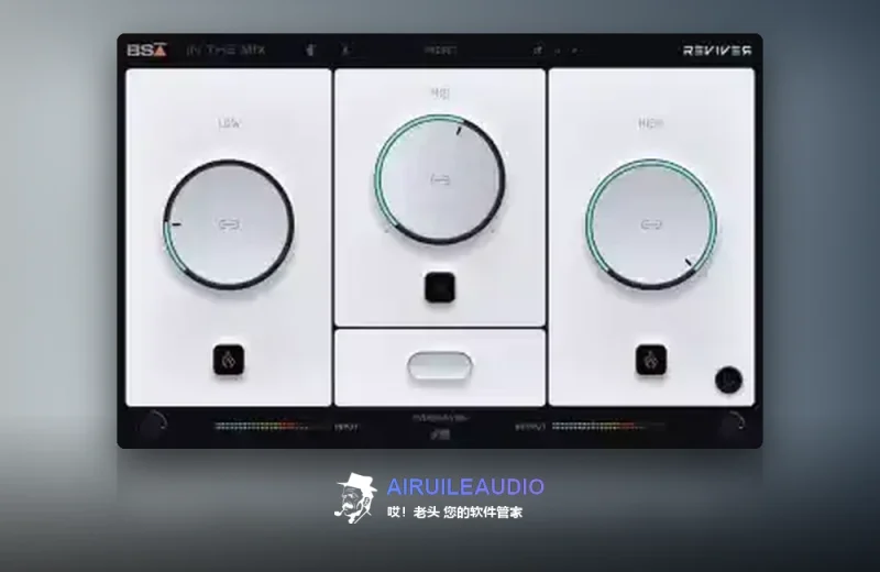 Black Salt Audio – Reviver Windows-哎！老头软件资源分享