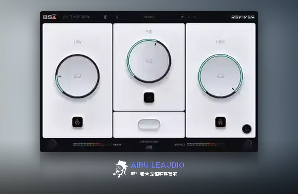 Black Salt Audio – Reviver 插件界面