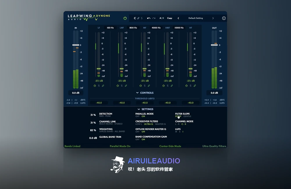 Leapwing Audio DynOne 插件界面